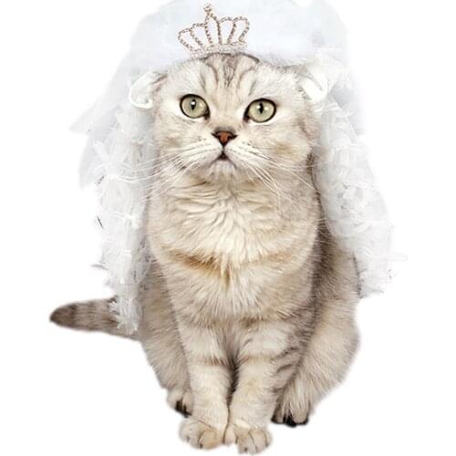 Creative Fashion Pet Cat Headband Decorative Wedding Veil Pet Headwear Pet Party Costume Cat Accessories for Kitten Cats