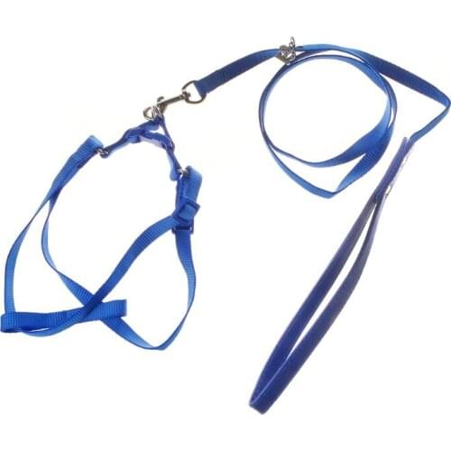 Parrot Leash Pet Harness Outdoor Adjustable Anti Bite Training Rope Flying Band Dropshipping