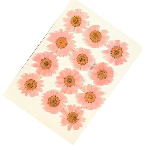 12pcs Pressed Flowers Dried Flowers Artificial Daisys Flowers For Nail Art Jewelry Making Embossing Epoxy Resin Home LBS