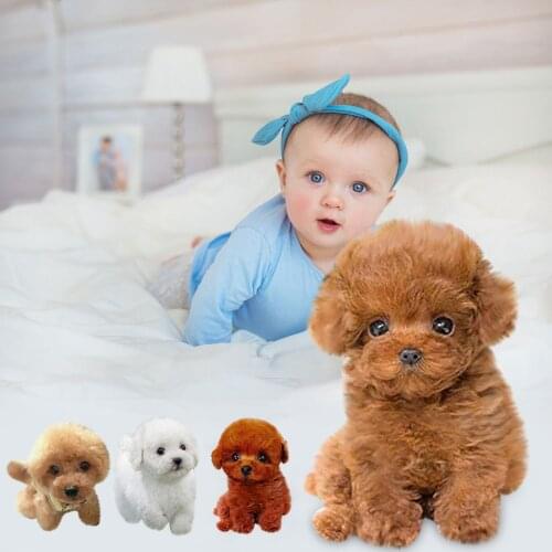 Realistic Teddy Dog Lucky Simulation Dog Poodle Plush Toys Handmade Realistic Figure Toy Dog Plush Stuffed Anim Toys For Kids
