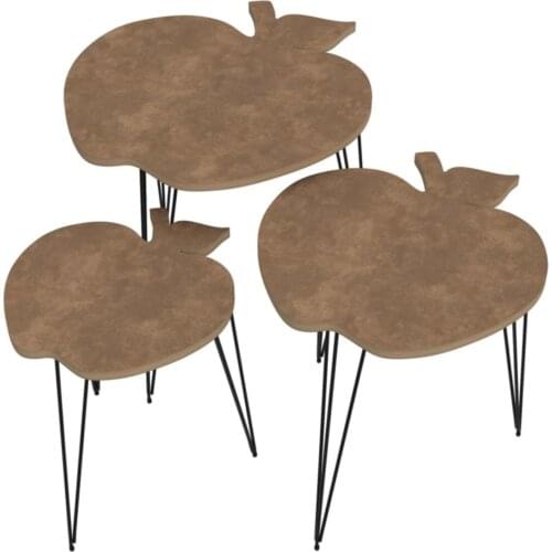 Modern Larose Zigon Coffee Table Faye Byz 3 Pcs (50*40*30-45*35*25-40*30*20) rectangle coffe table