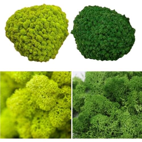 2x 25g Fake Decorative Moss Realistic Ornaments for Bedroom Christmas Decor