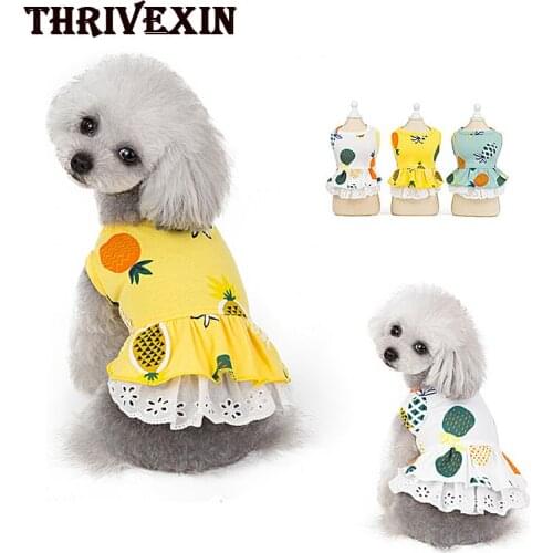 Pet Clothes Pet Clothes Summer Dog Clothes for Small Dog Clothes Pet Supplies Wholesale Pineapple Skirt Spring Pet Clothes