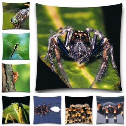 Fashion Animals Spider Cushion Cover Cotton polyester Decorative Chair Seat Square 16 18 20 24 inches Home Living Textile