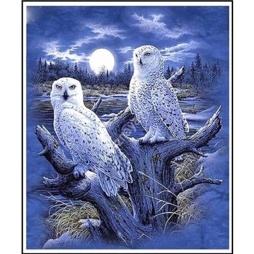 5D DIY Diamond Painting Owl Crystal 5D Diamond Embroidery Cross Stitch Animal Night Moon Owl Needlework Scenic Home Decorative