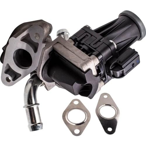 9800555380 EGR Valve 173036 For Peugeot Boxer 2006-2017 For Box & Bus 2.2 Diesel