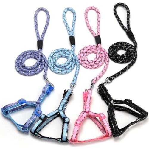 Dog Collars Pet Leash Multifunction Sports Running Jogging Cat Dog Leads Leash puppy Traction rope chain Collars Harnesses