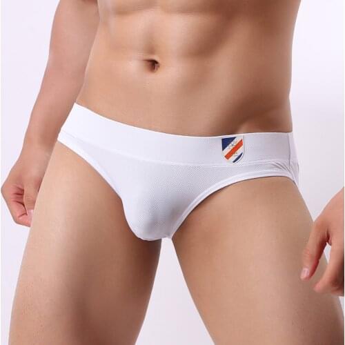 BRAVE PERSON Mens Sexy Bikini Briefs Breathable Nylon Briefs Men Posing Swimming Trunks Mens Underwear Pouch Underpants Male