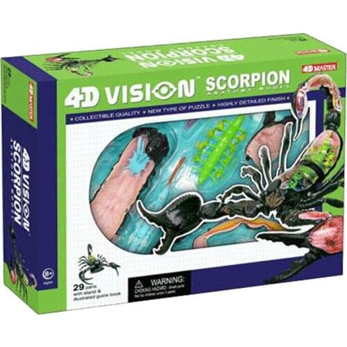 Animal biology scorpion organ anatomy 4D master puzzle assembly toys Medical models