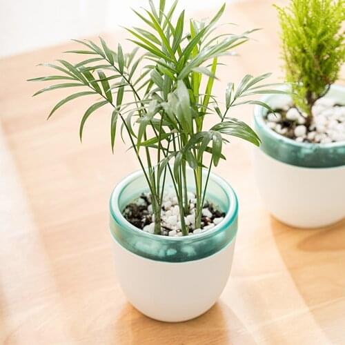 Nordic Style Self Watering Plant Pot Plastic Round Hydroponic Planter For Flowers Pot With Water Tank Desktop Home Decorative