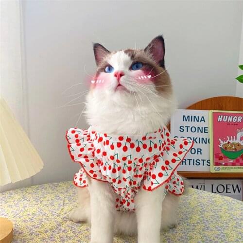 Summer Pet Clothes Cherry Print Cat Clothes for Small Cats Dogs Costume Cherry Print Cat Shirt Dress Kitten Outfit Cats Costume