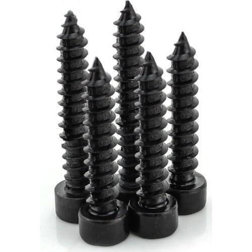 10PCS-M6*16/20/25/30/35/40/50/60 8.8 Speaker Horn/ Model Tapping Screw /Hexagon Socket Tapping