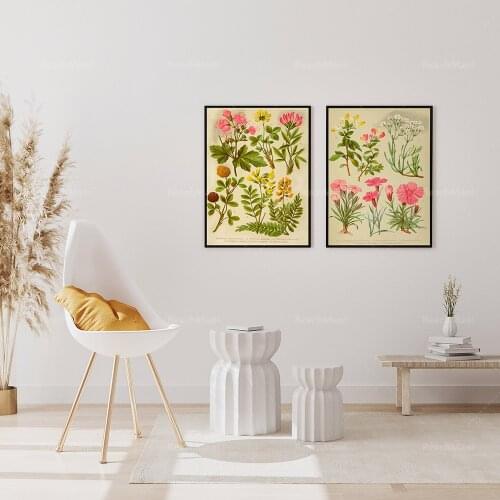 A pair of vintage plant prints, vintage French art, antique illustrations, plant art, kitchen, plant prints
