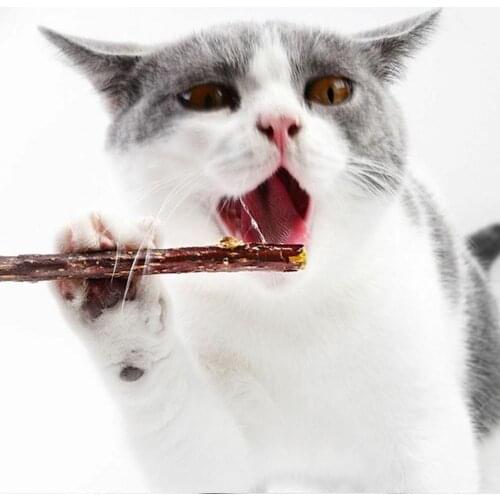 10pcs Pure Natural Catnip Pet Cat Chewing Toys Molar Toothpaste Stick Cat Cleaning Teeth Snacks Sticks Pet Cat Supplies