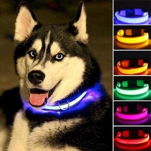 LHUANG 2020 New Dogs Luminous Fluorescent Collars Pet Supplies Nylon LED Pet Dog Collar,Night Safety Flashing Dog Leash