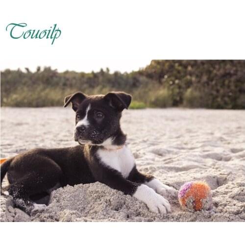 Crafts diamond painting Cute dog beach ball diy cross stitch diamond embroidery set needlework diamond painting round&square