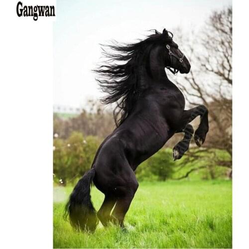 Full Square/Round Drill 5D DIY Diamond Painting "grassland black Horse scenery" 3D rhinestone Embroidery Cross Stitch Home Decor