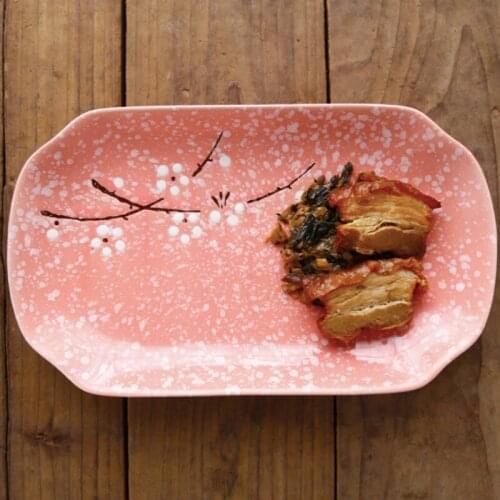 Salad Plate Dinner Dish Breakfast Nordic Steak Plates Home Hotel Ceramic Food Dishes Tray Pasta Hotel Restaurant Dish Tableware