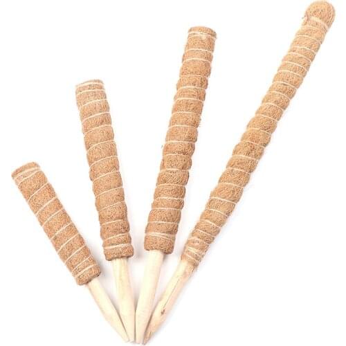 1PC Plant Climbing Pole Coir Moss Stick Coir Moss Palm Vines Stick Plant Support Extension Climbing Indoor Plants Creepers