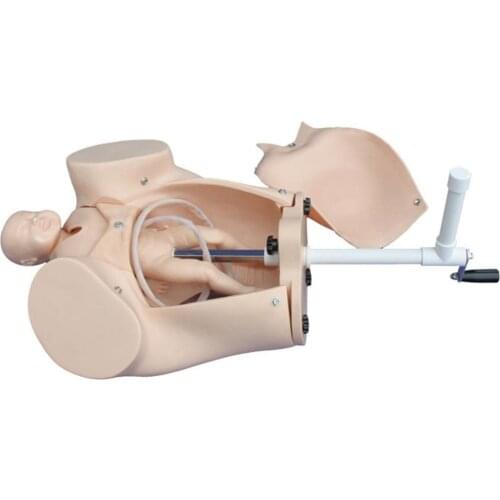 Human nursing medical Advanced Nurse Training Doll Model of Course of Delivery children birth model