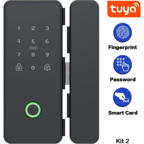 Tuya APP Smart Fingerprint Biometrics Card Password Number Code Lock For Home Office Frameless Frame Glass Push Sliding Door