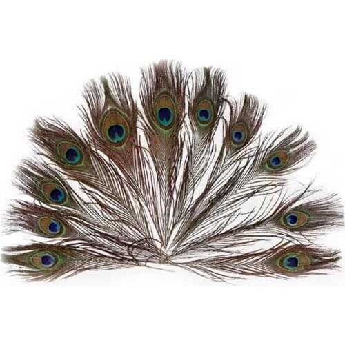 Wholesale 100Pcs Peacock Feather Length 25-30cm 10-12" Natural Peacock Feathers for Crafts Peacock Decorations for Home Hotel