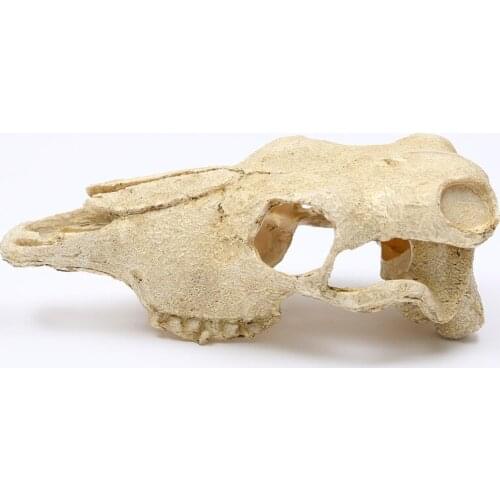 Aquarium Fish Tank Ornaments Aquatic Landscaping Resin Skull Decoration Pet Halloween