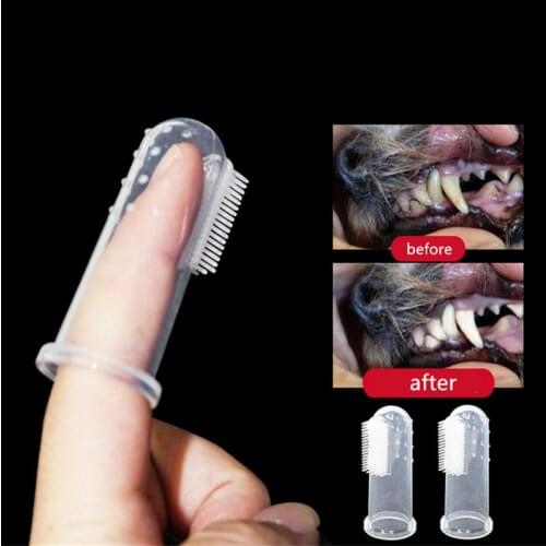 Kbxlife Products For Dogs