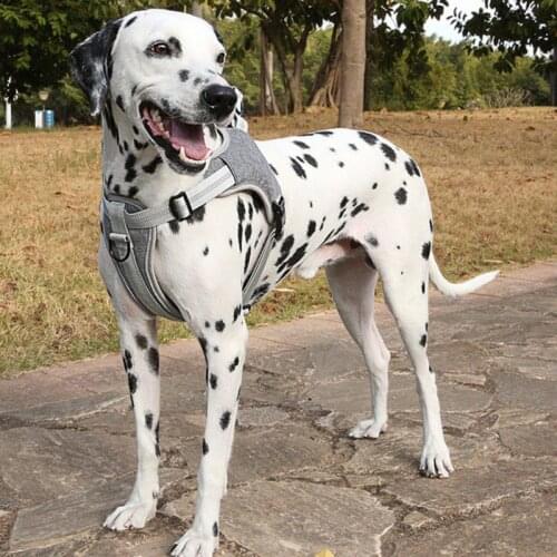 Reflective Pet Dog Harness Accessories Pet Dog Training Vest for Medium Big Large Dogs Adjustable Outdoor Harness #2