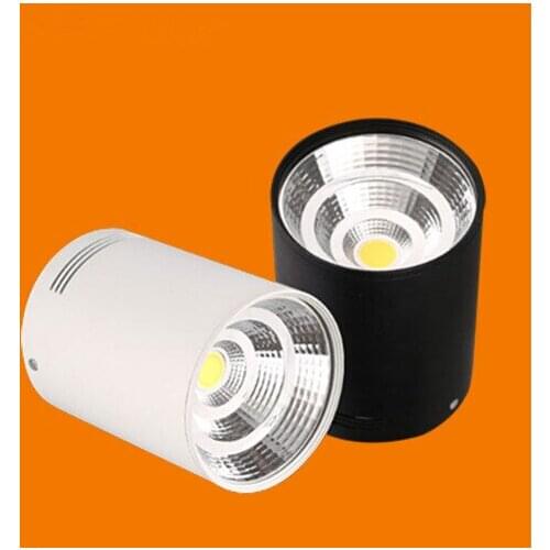 Free Shipping 15W Dimmable Surface Mounted Warm Cold White LED Downlight With White/Silver/Black shell COB Led down lights