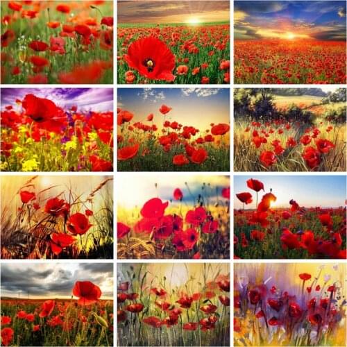 Huacan Diamond Art Painting Poppy Flower Full Square/round Mosaic Sunset Floral Embroidery Cross Stitch Wall Stickers
