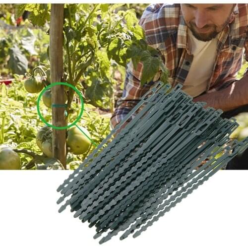 50pcs Plastic Plant Cable Ties Reusable Cable Ties Greenhouse Grow Kits Adjustable Garden Tree Climbing Support Tool for Garden