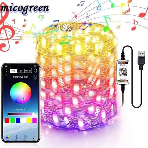 Micogreen LED String Lights