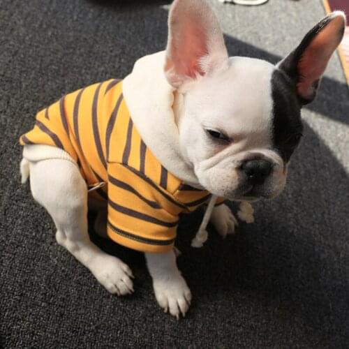 Dog Hoodies Sweatshirt Coat Winter Dog Clothes Puppy Clothing Apparel Cat Chihuahua Yorkie Poodle Schnauzer Pug Costume Outfit