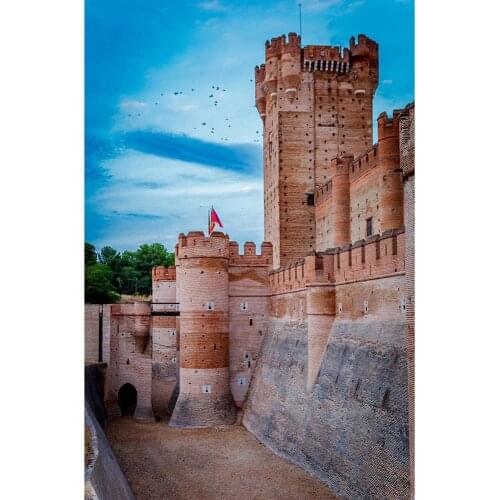 Ancient Brick Castle Photo Background Customized Fond Backdrops for Children Baby Portrait Scenic Photocall Photography Props