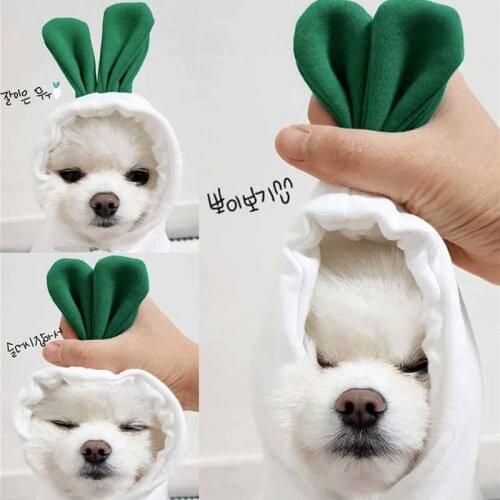 Early autumn new cute radish pet sweater Teddy Bichon Hiromi VIP cat puppies small dog dog clothes