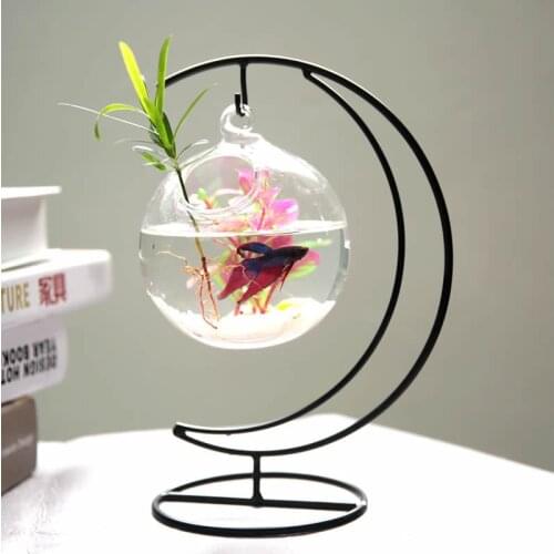Hanging Simple Mini Desktop Small Fish Tank Transparent Glass Circle And Creative Home Desk Living Room Betta Tank