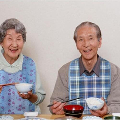 Hot 1 Pcs Waterproof Adult Mealtime Bib Cloth Protector Disability Aid Apron sy998