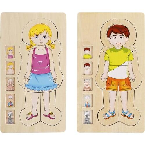 Onshine Wooden Multilayer Puzzle Human Body Structure Cognitive toys Animal Growth Process Learning Toys for Children Kids 3Y