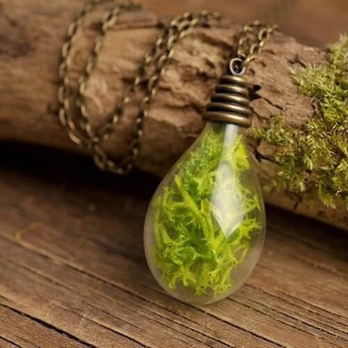 3PCS 31X18MM Round Tear Drop Real Moss Necklace Wish necklace antique brass necklace tiny necklace Gift for women