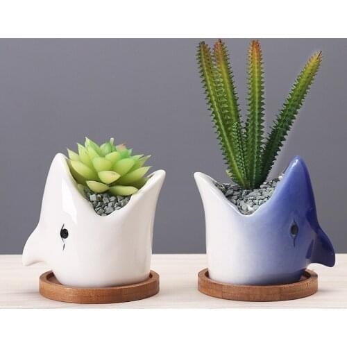 Creative Cartoon Ceramics Big Mouth Shark Flowerpot Simple Succulent Plant Container Green Planters Small Bonsai Pots Home Decor