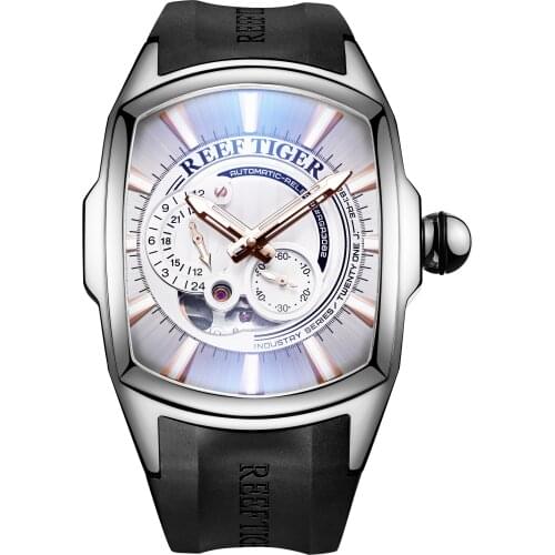 Reef Tiger Men Automatic Mechanical Wrist Watches Luxury Brand Watch Reloj Hombre Clock Waterproof Self Wind Kol Saati RGA3069S