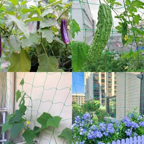 1pcs Fruit Vegetable Flower Vine Plants Climbing Net Garden Cucumber Vine Grow Holder Brackets Trellis Netting Anti-bird 4 Sizes