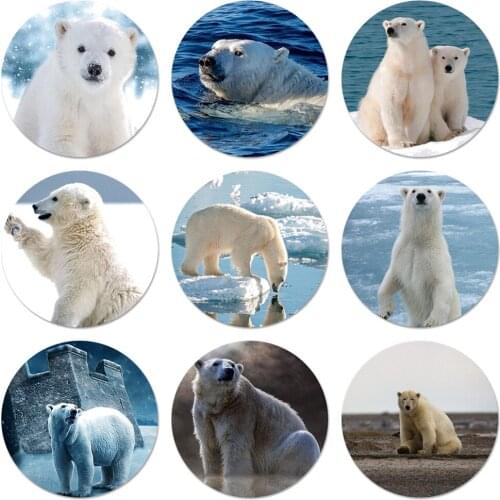 58mm Polar Bear Alaska Icons Pins Badge Decoration Brooches Metal Badges For Clothes Backpack Decoration