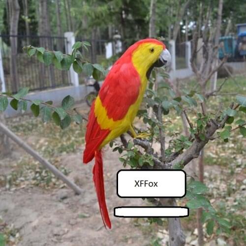 Big real life red&yellow parrot model foam&feather simulation parrot bird gift about 40cm xf0164