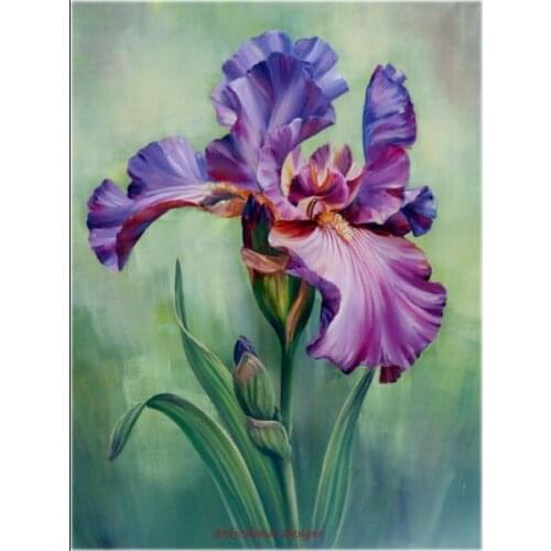 Embroidery Counted Cross Stitch Kits Needlework - Crafts 14 ct Aida DMC color DIY Arts Handmade Home Decor - Purple Iris