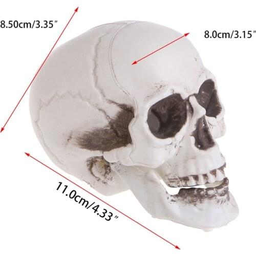 Plastic Human Mini Skull Decor Prop Skeleton Head Halloween Coffee Bars Ornament Q1JC