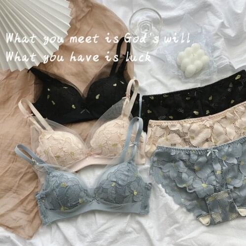 French Bra Briefs Set Sexy Lace Underwear Fashion Push Up Comfort Brassiere Low Waist Seamless Panties Female Sexy Lingerie Set