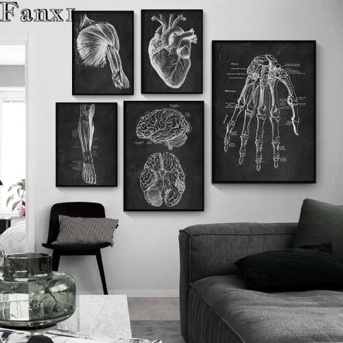 Human Anatomy Artwork Medical Clinic Wall Picture Skeleton Organ Muscle System Vintage Canvas Print Body Education Poster