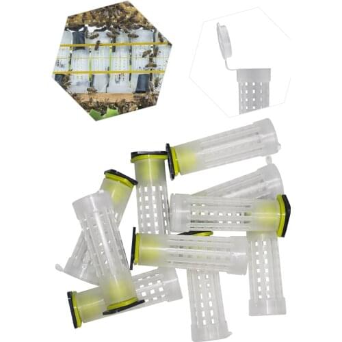 Bee Queen Rearing Cupkits CagesBee Hive Tools For Beekeeping Equipment Beekeeper Suppiler